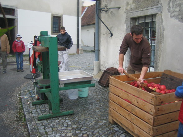 Bauernmarkt in St. Florian - 