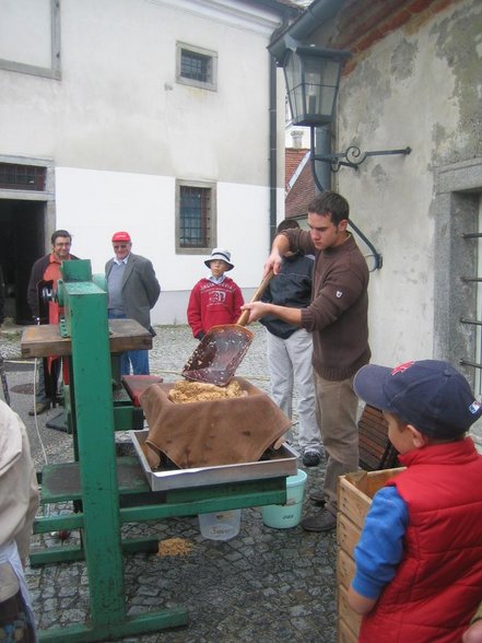 Bauernmarkt in St. Florian - 