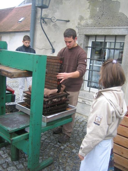 Bauernmarkt in St. Florian - 