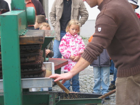 Bauernmarkt in St. Florian - 