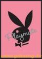 PlayBoy - 