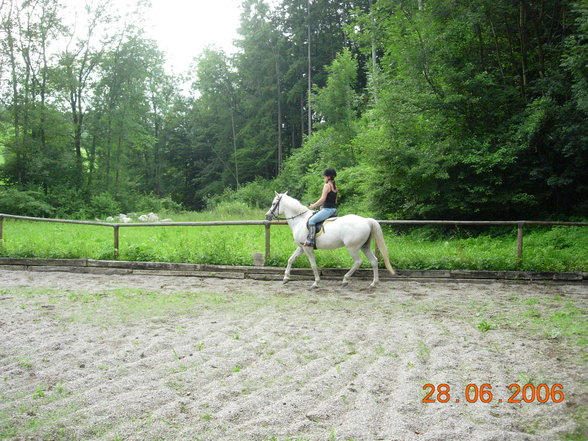 Reiten mit meinem perd Meide - 