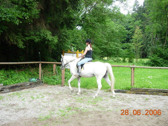 Reiten mit meinem perd Meide - 