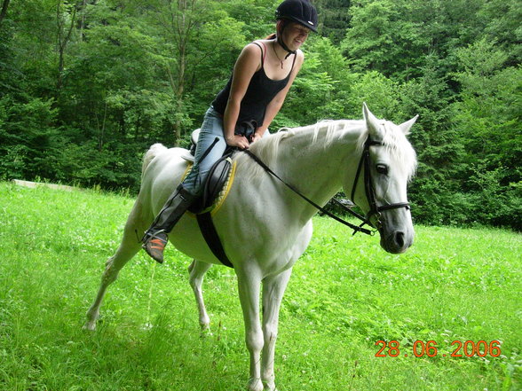 Reiten mit meinem perd Meide - 