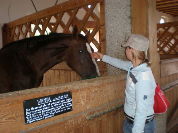 Gut Aiderbichel in Hennendorf  - 