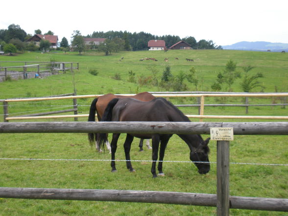 Gut Aiderbichel in Hennendorf  - 