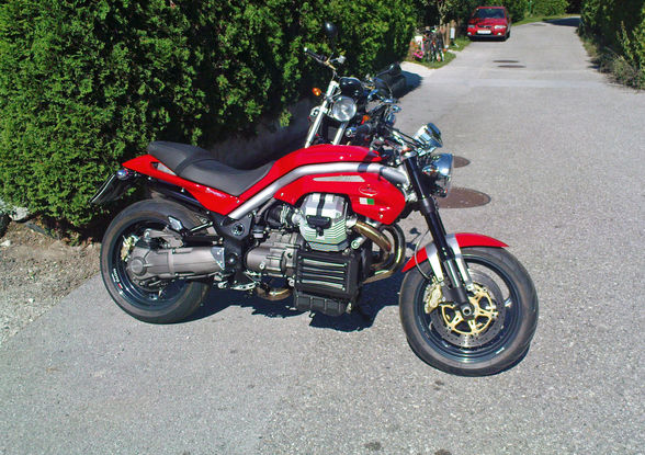 Meine Moto Guzzi V11 Sport - 