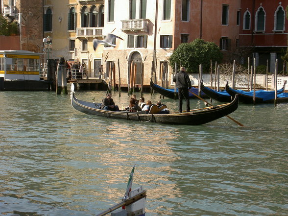 Viva Venedig - 