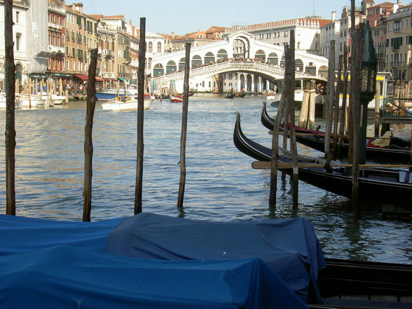 Viva Venedig - 