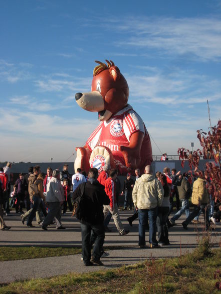 Allianz Arena - 