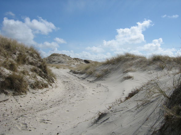 Amrum - 