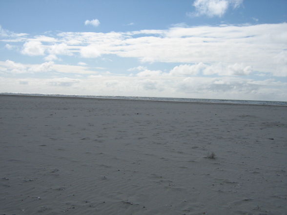 Amrum - 