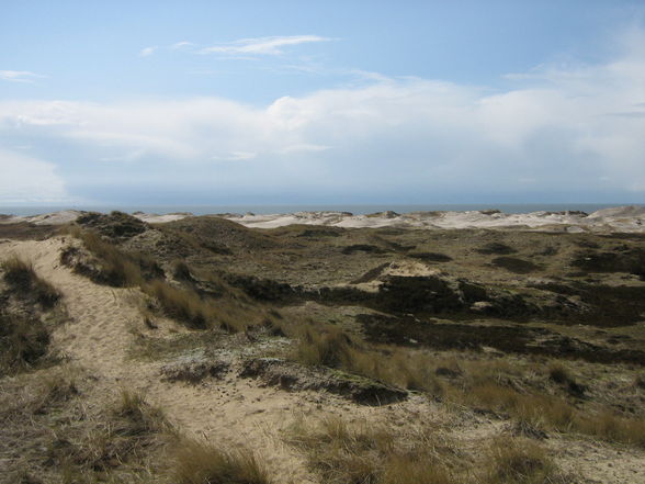 Amrum - 