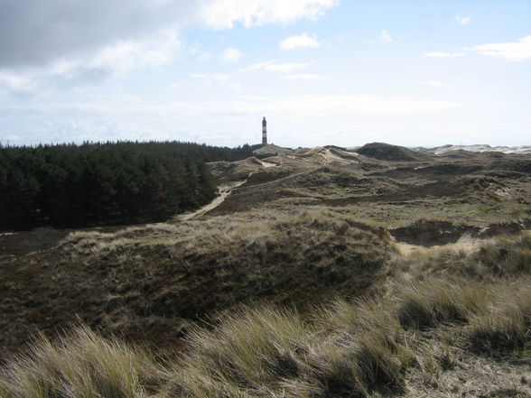 Amrum - 