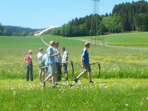 *Bezirksmähen* - 