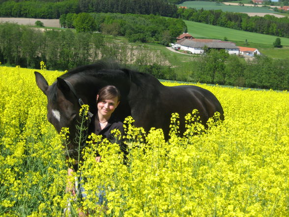  meine schützlinge  - 