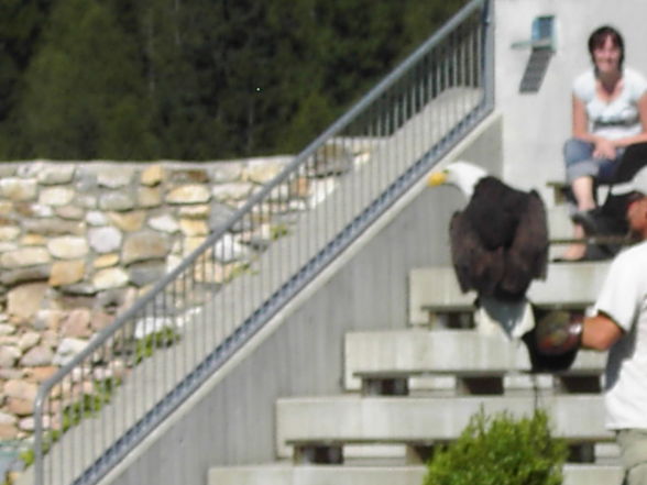 Urlaub in Kärnten 2008 - 