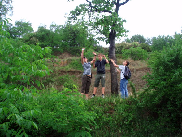 Klassenwandertag nach Dürnstein - 