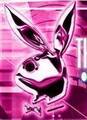 Playboy - 