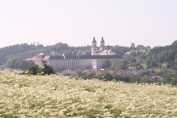 meine besten schnappschüsse - 