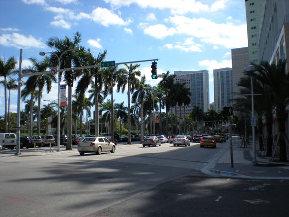 Downtown Miami - 