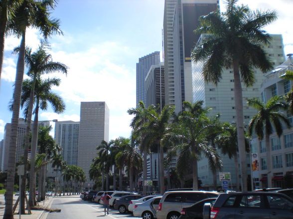 Downtown Miami - 