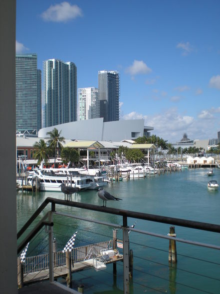 Downtown Miami - 