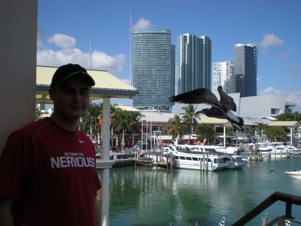 Downtown Miami - 