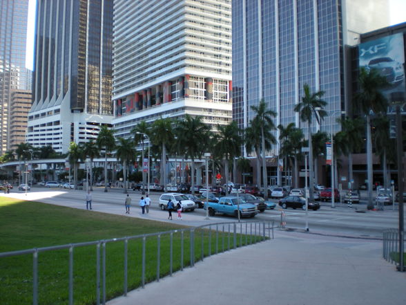 Downtown Miami - 