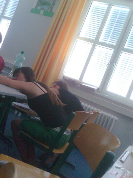 Schule - 