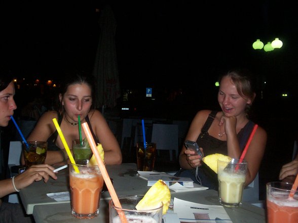 Vir 2006 - 