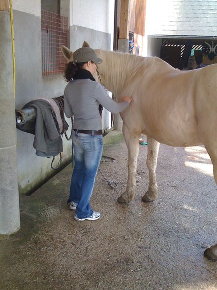 mein pferd "sternschnuppe" - 