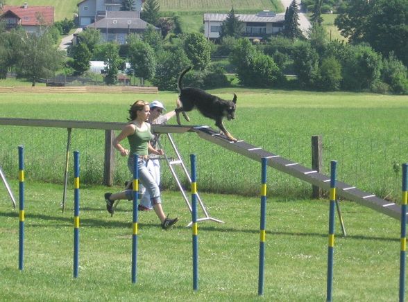 Agility - 