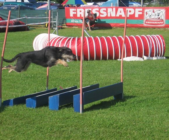 Agility - 