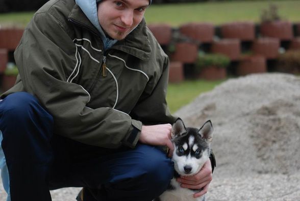 My Husky Akima - 