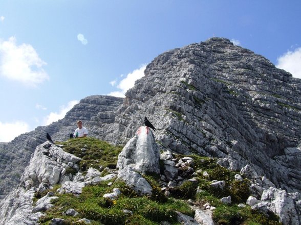 Warscheneck 2387m SO Grat - 