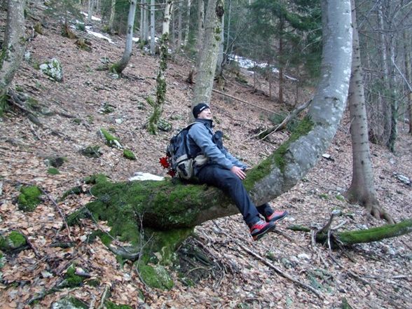 Kremsmauer Eisklettern - 