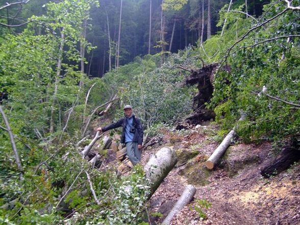 Kremsmauer über den Grat - 