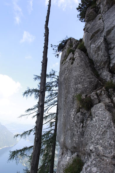 Seewand Klettersteig D/E 800m - 