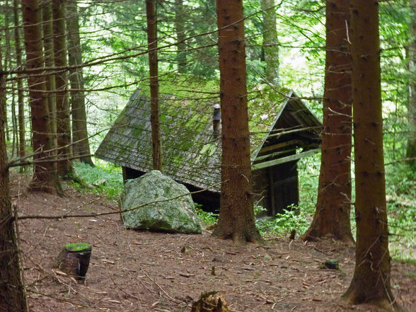 Grünburgerhütte - Hoher Buchberg 1273m - 