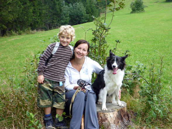 Grünburgerhütte - Hoher Buchberg 1273m - 