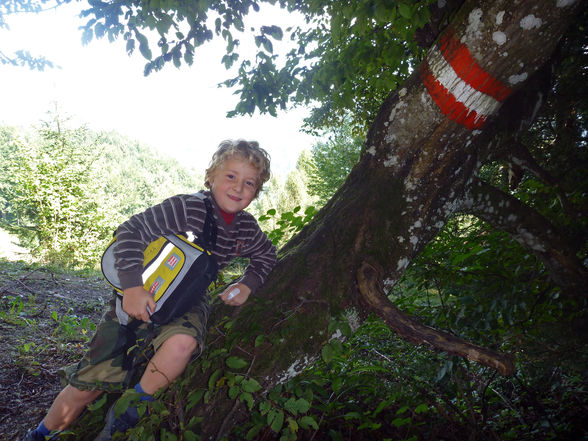 Grünburgerhütte - Hoher Buchberg 1273m - 