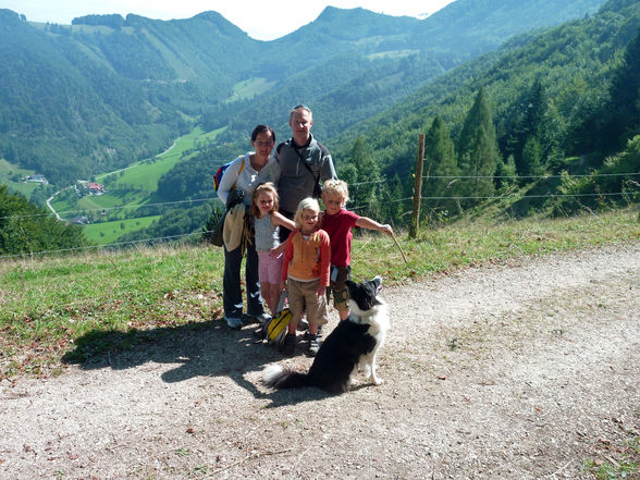 Grünburgerhütte - Hoher Buchberg 1273m - 