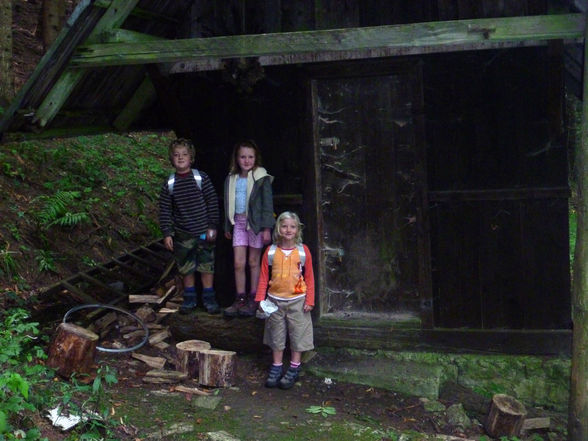 Grünburgerhütte - Hoher Buchberg 1273m - 