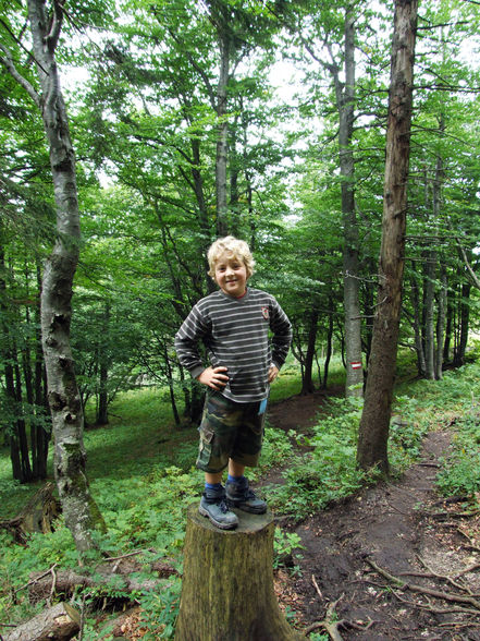 Grünburgerhütte - Hoher Buchberg 1273m - 