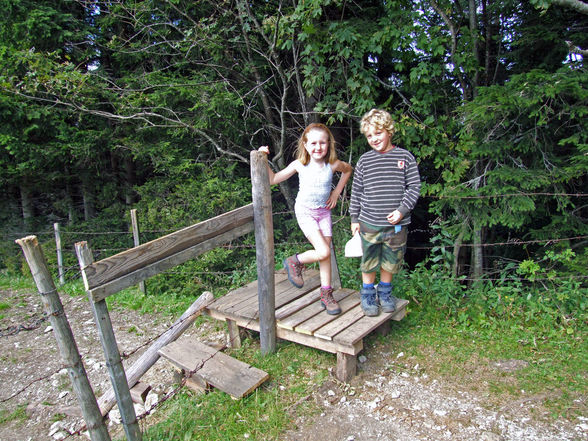 Grünburgerhütte - Hoher Buchberg 1273m - 