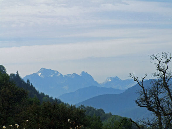 Grünburgerhütte - Hoher Buchberg 1273m - 