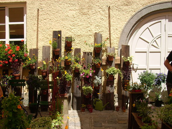 Blumenfest 2008 - 