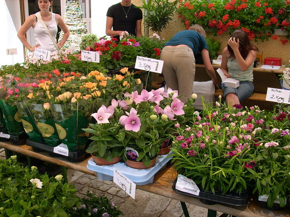 Blumenfest 2008 - 