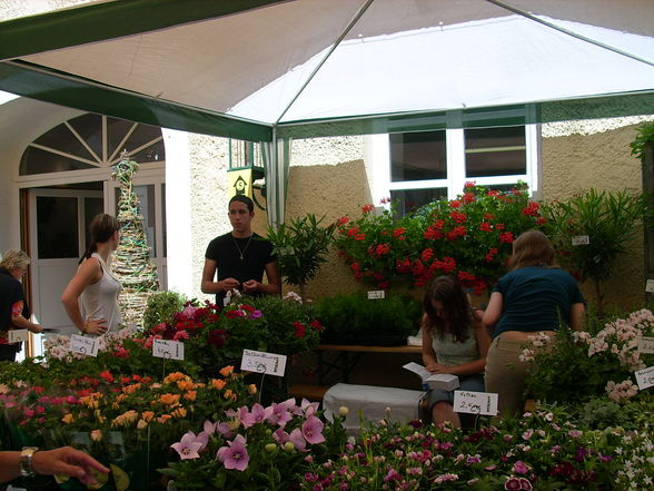 Blumenfest 2008 - 